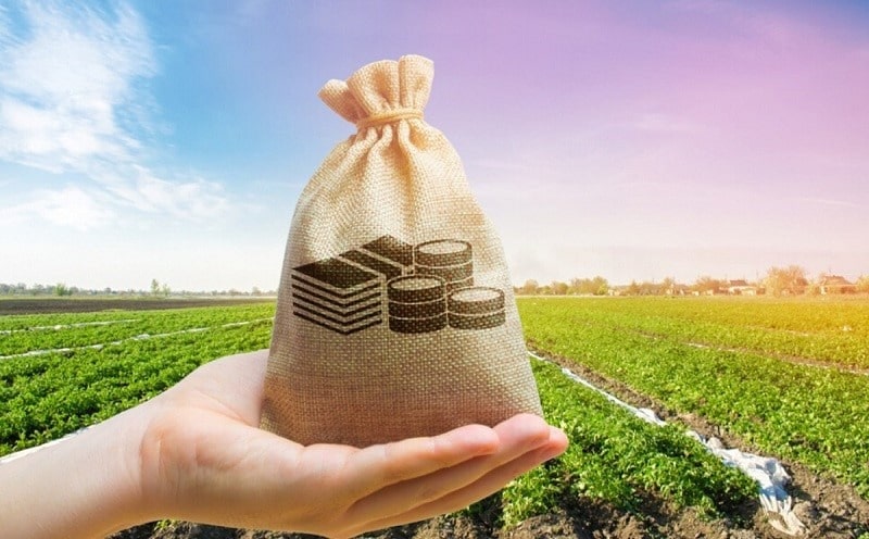 بررسی نکات حقوقی خرید زمین قبل از معامله
